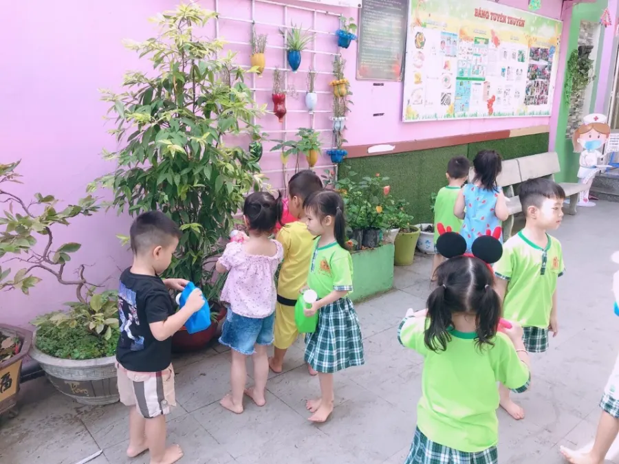 Mầm non Hoa Tigon