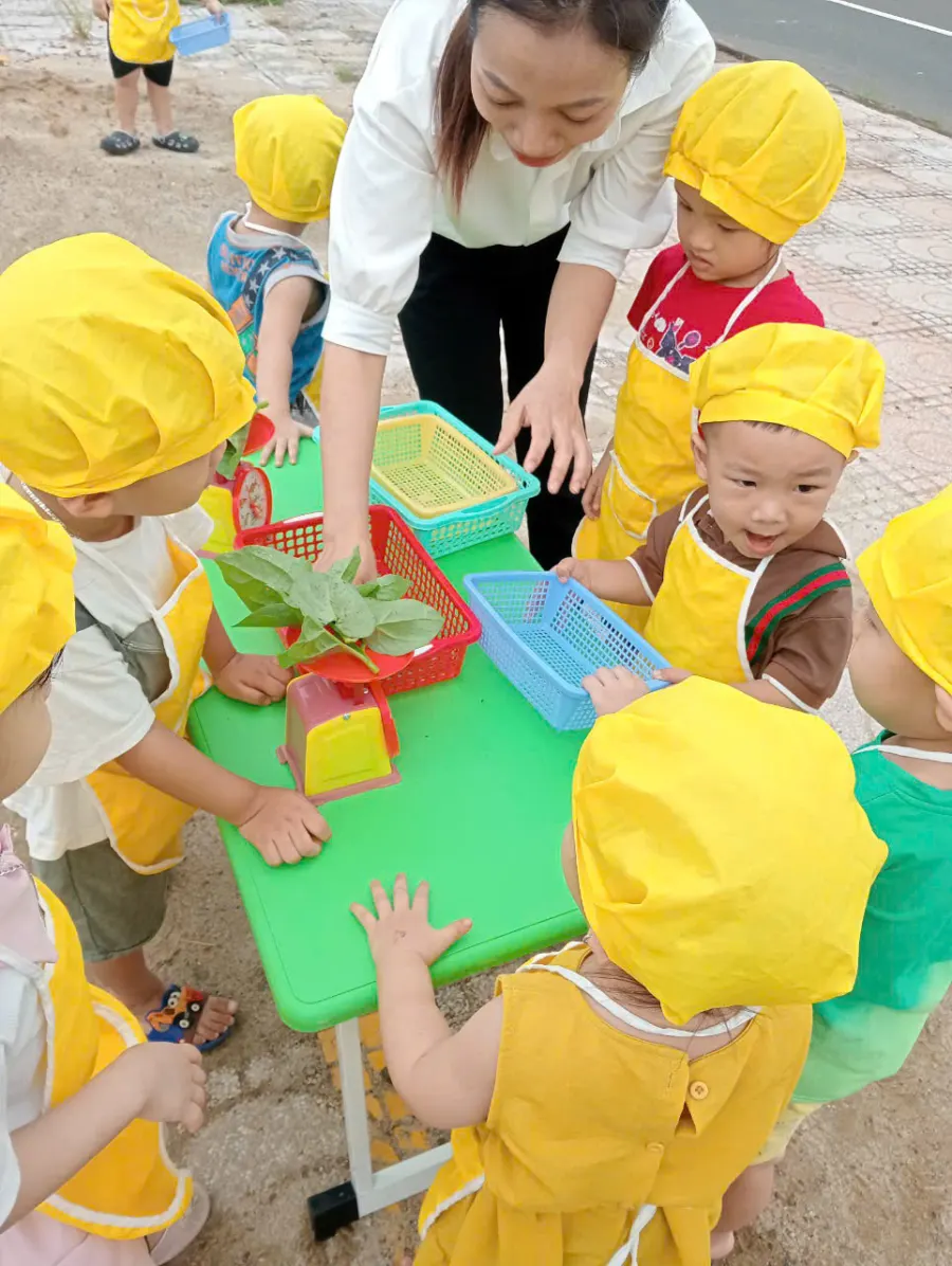 Mầm Non Mèo Con