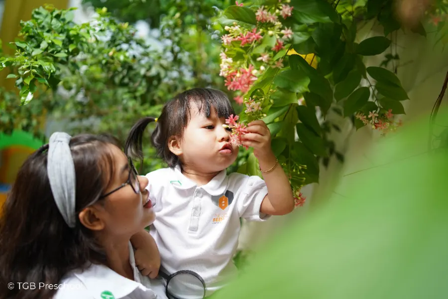 Trường mầm non The Gold Beehive - TGB Preschool - Cơ sở Wilton Bình Thạnh