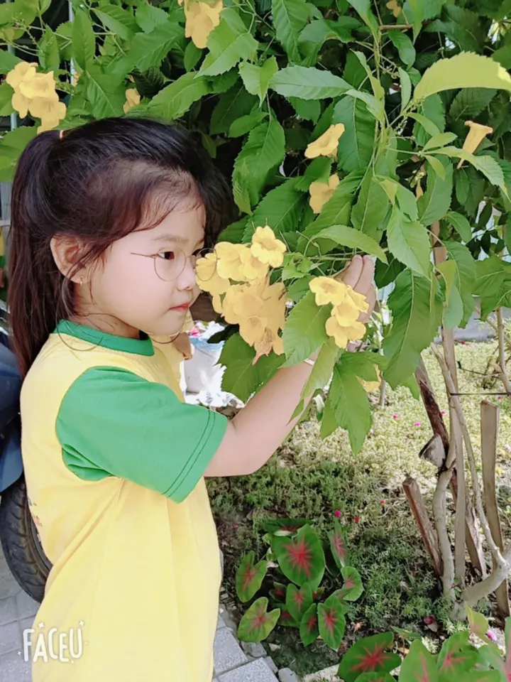 Trường Mầm Non Mặt Trời Nhỏ (Baby Sun)