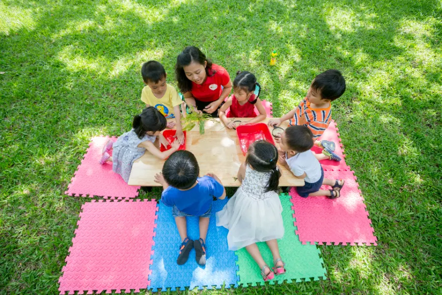 Trường Mầm non Đa trí Thông minh TOMATO - TOMATO Multiple Intelligences Preschool