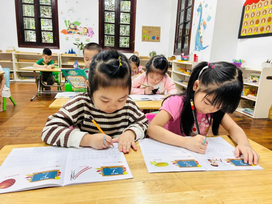 Trường Mầm Non Việt Mỹ Ngôi Nhà Lớn