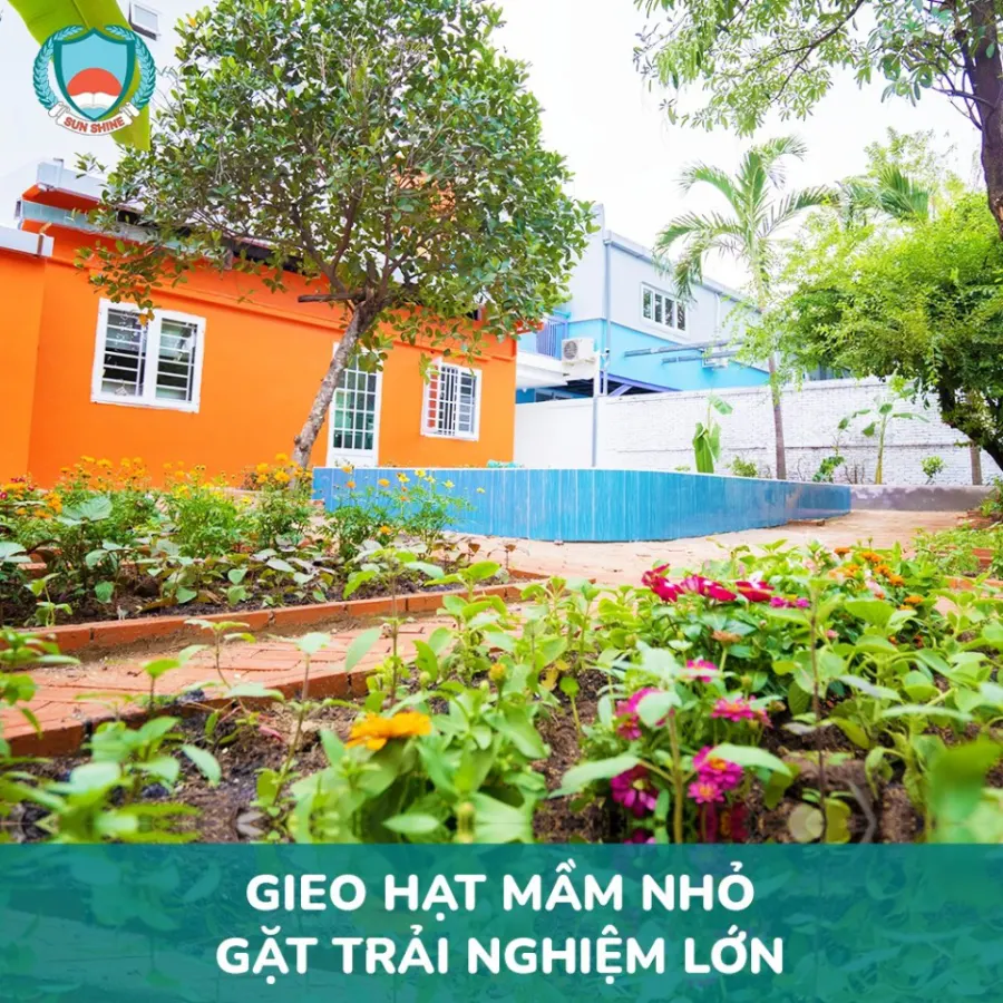 Trường Mầm Non SUN SHINE (SUN SHINE Kindergarten) - Phường 15 Gò Vấp