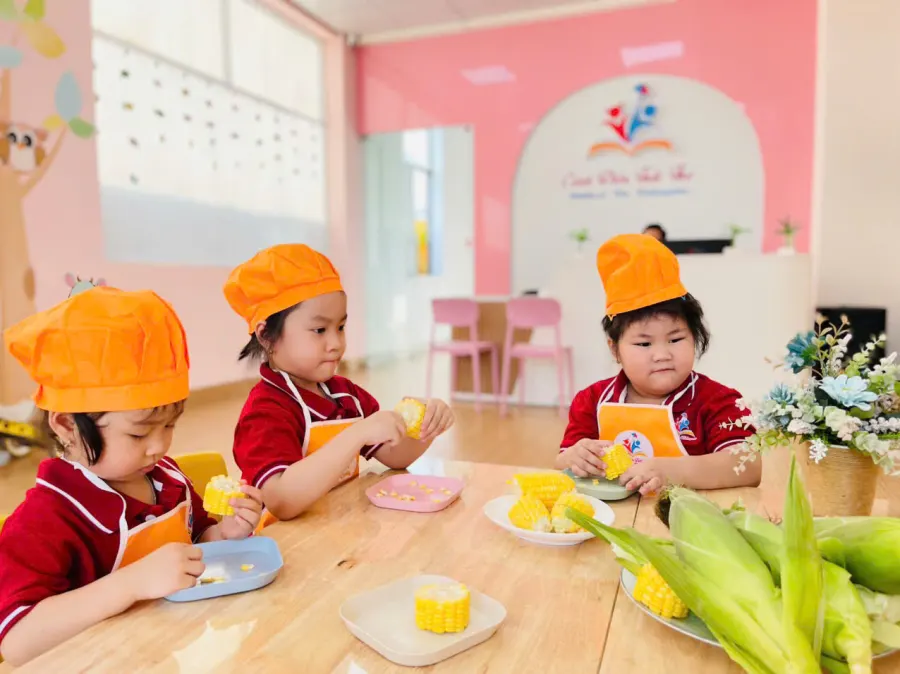 Trường Mầm Non Cánh Diều Tuổi Thơ - Childhood Kite Kindergarten