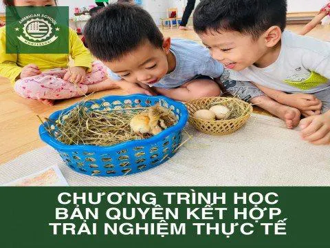 Trường mầm non Quốc tế American Montessori School AMSS - Montessori Hoa Kỳ