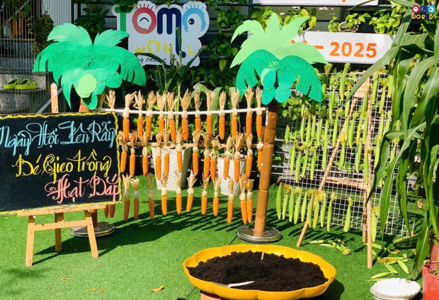 Trường Mầm non Song ngữ Tomoworld