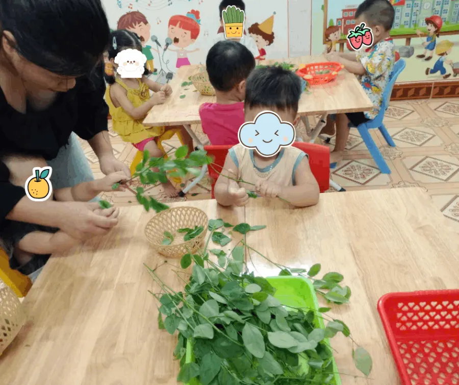 Trung Tâm Hỗ Trợ Phát Triển Giáo Dục Hòa Nhập Tâm Trí Đức