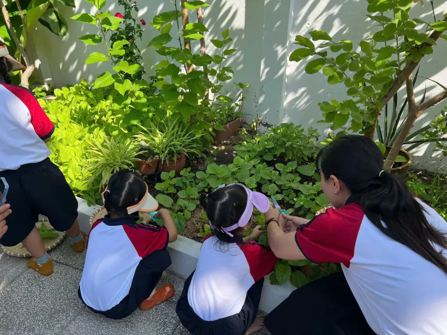 Trường Mầm Non Vườn Hạnh Phúc (Happy Garden)