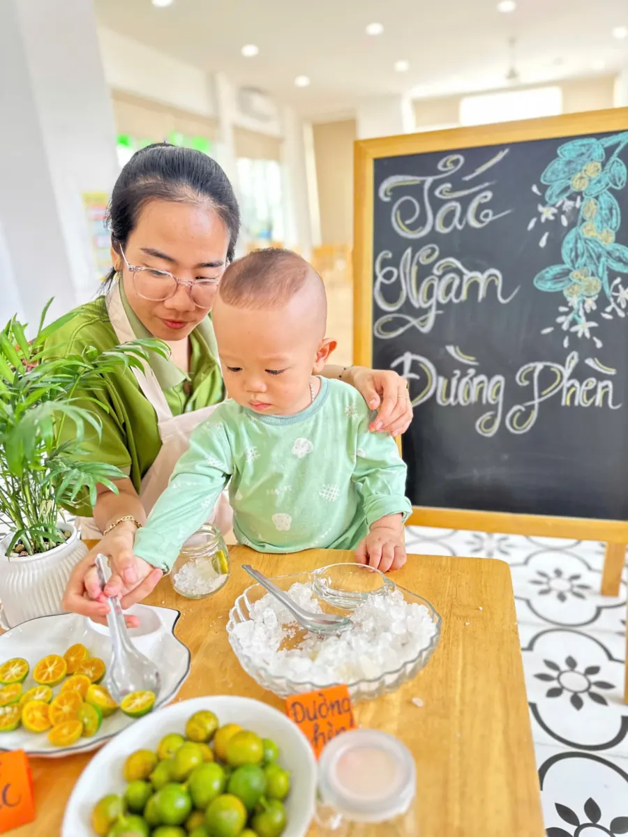 Mầm Non Mầm Nhỏ - Tiny Seeds Montessori Children’s Home
