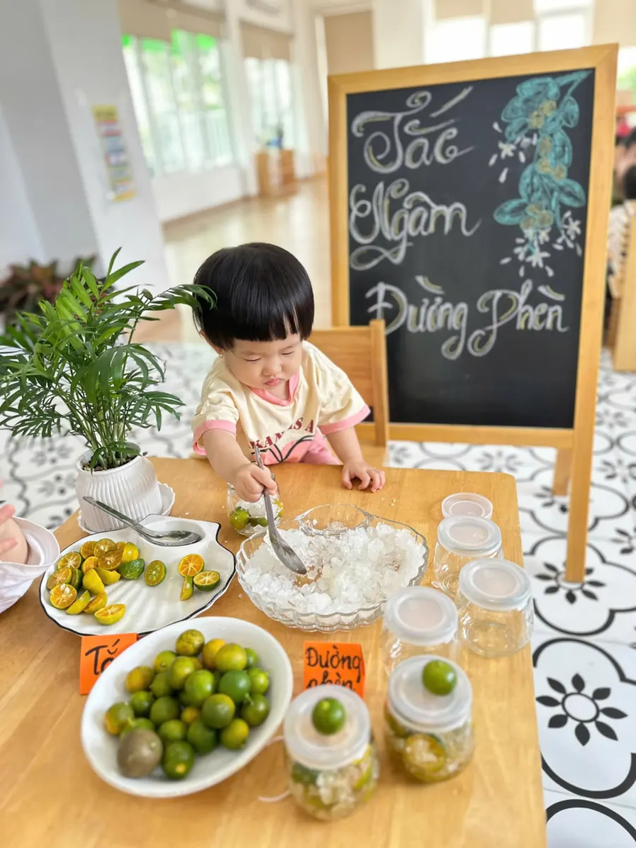 Mầm Non Mầm Nhỏ - Tiny Seeds Montessori Children’s Home