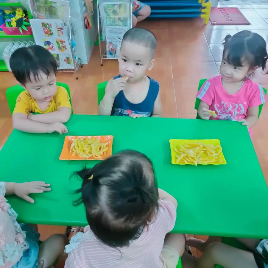Trường Mầm Non Sao Mai Home