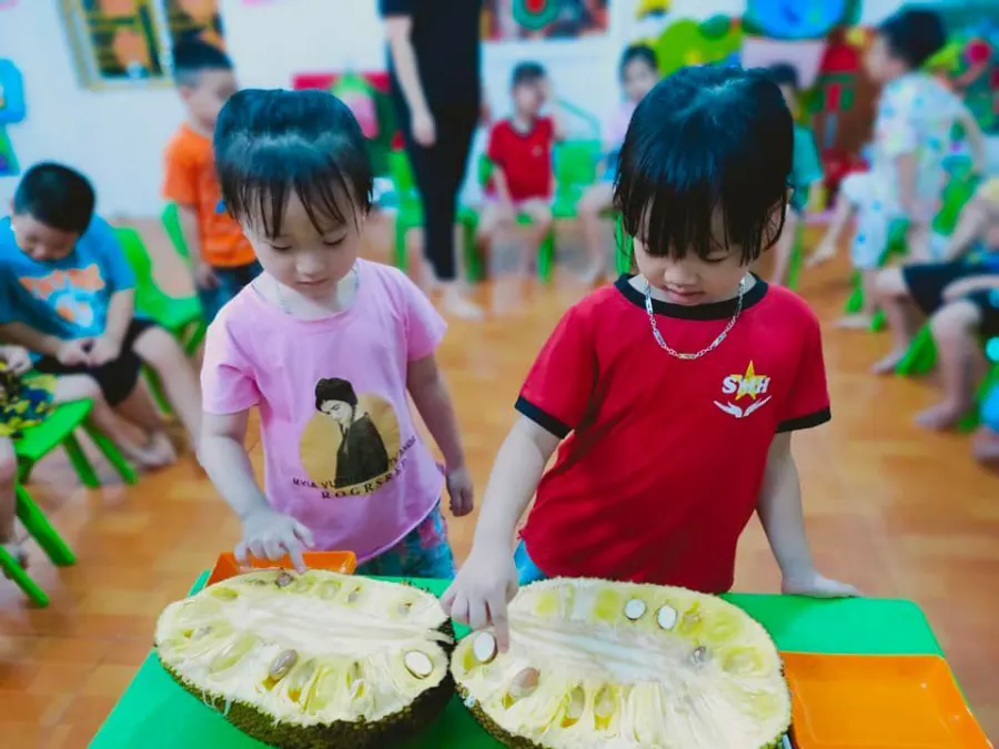 Trường Mầm Non Sao Mai Home