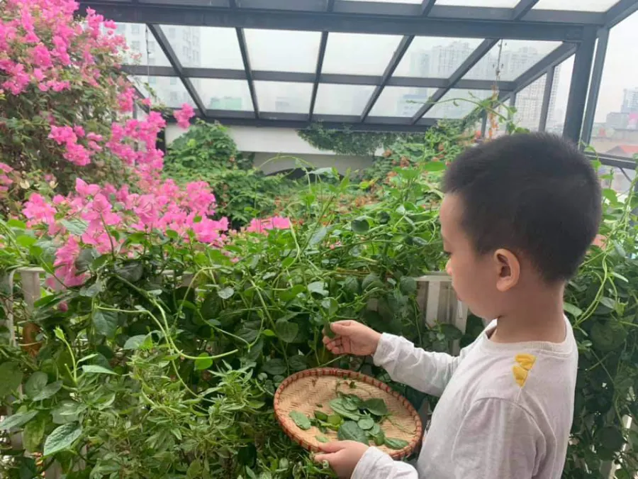 Trung Tâm Giáo Dục Hòa Nhập Trẻ Em