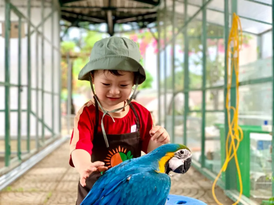 Trường Mầm non Hữu Nghị -  Khu đô thị Him Lam - Hồng Bàng