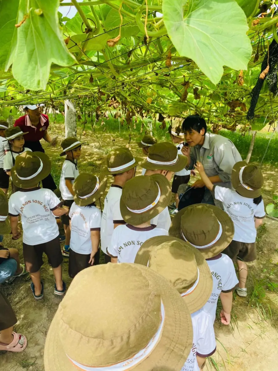 Mầm Non New Skyline Montessori - Phan Chu Trinh, Huế