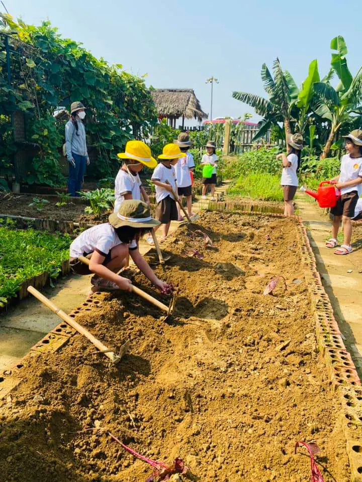 Mầm Non New Skyline Montessori - Phan Chu Trinh, Huế