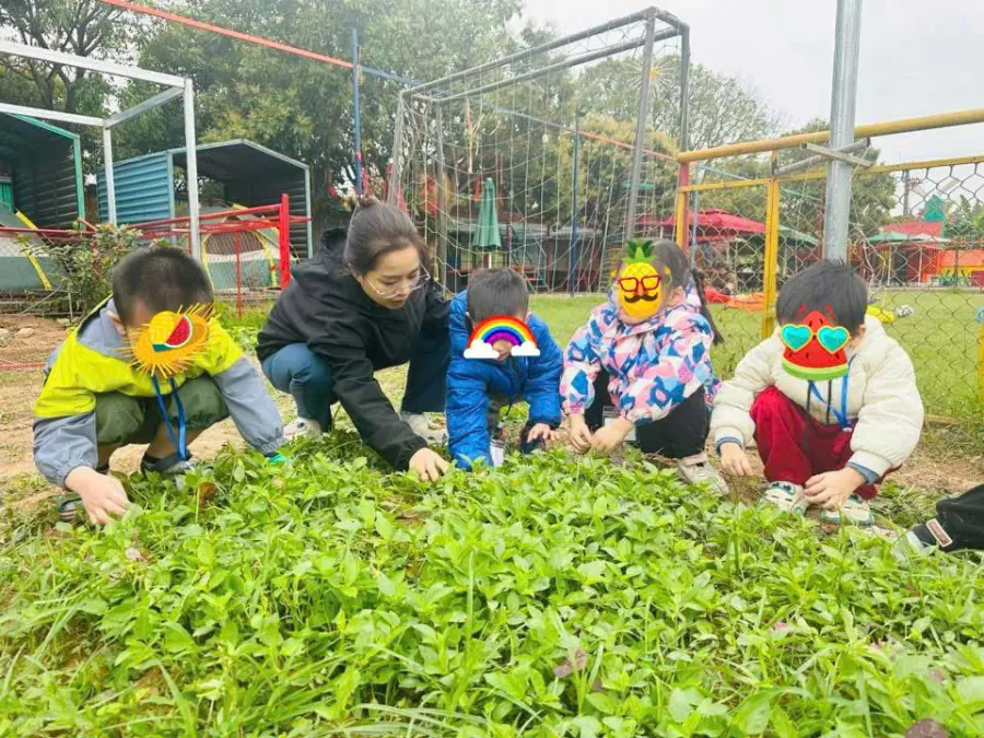 Trung Tâm Tâm Lý Giáo Dục Hòa Nhập Totto Chan - Long Biên - Chi Nhánh Viện Tâm Lý Giáo Dục