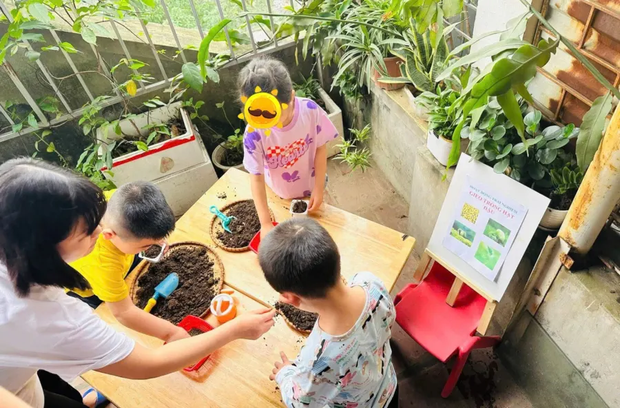 Trung Tâm Tâm Lý Giáo Dục Hòa Nhập Totto Chan - Long Biên - Chi Nhánh Viện Tâm Lý Giáo Dục