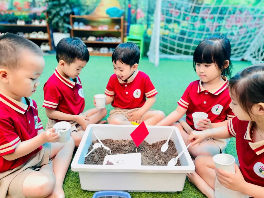 Mầm Non Thần Đồng