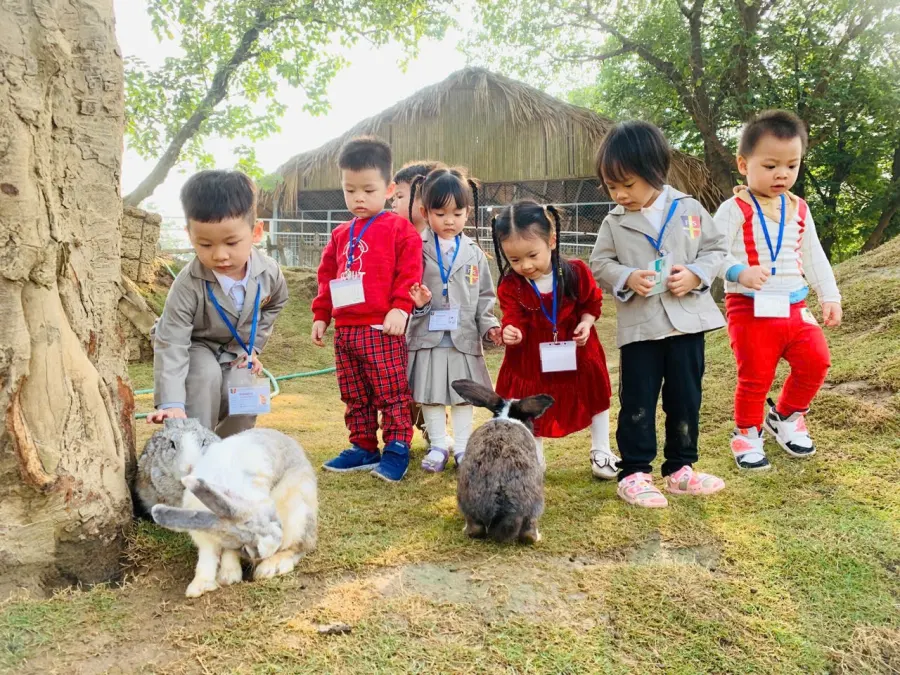Trường Mầm Non FIS Ba Đình