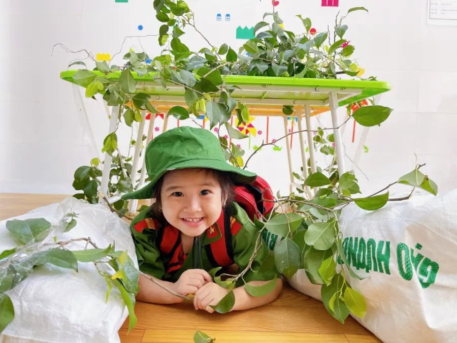 Mầm Non Hoa Cúc
