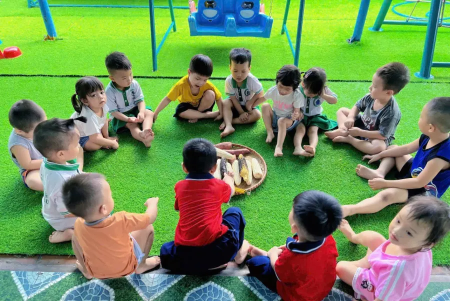 Trường Mầm Non Hoạ Mi Nâu - Đông Tân