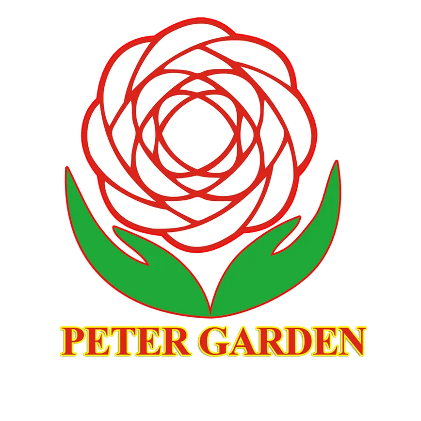 Trường Mầm Non Peter Garden