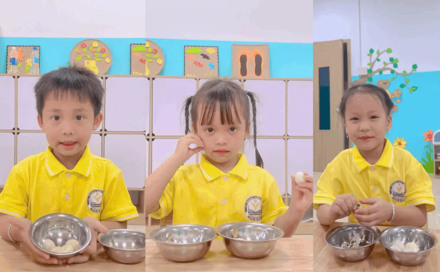 Trường Mầm Non Dream House