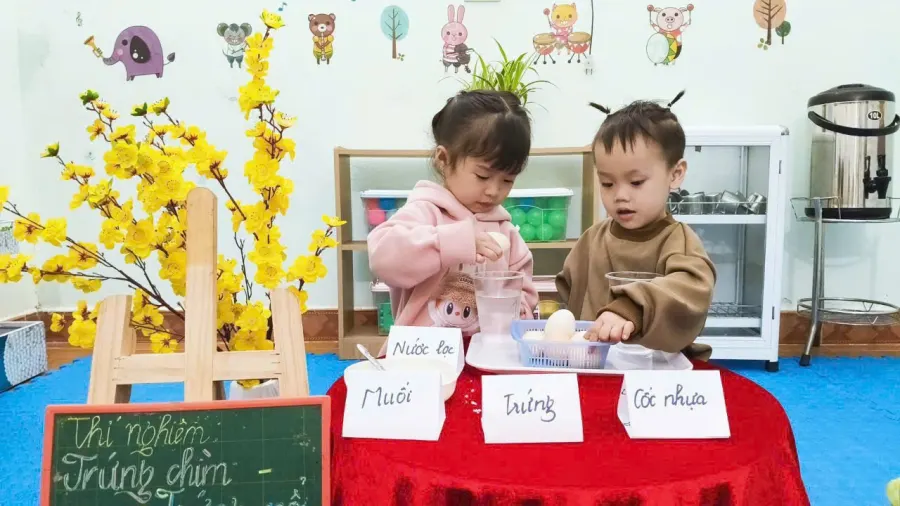 Mầm Non Hoa Hướng Dương - Phúc Lộc, Hà Nội