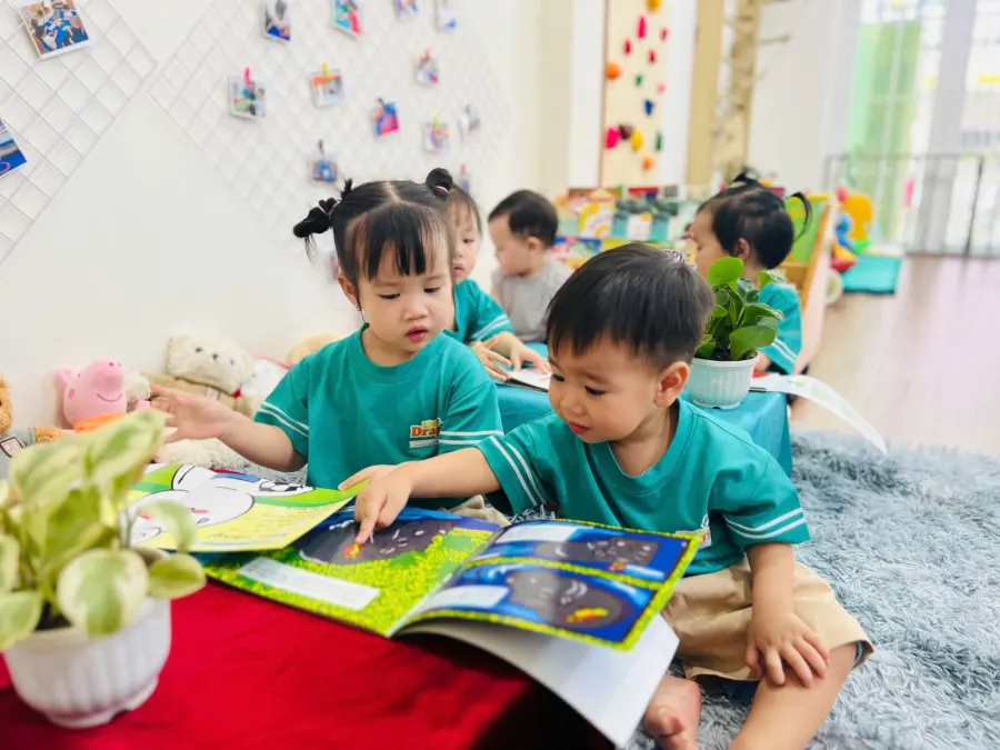 Hệ thống Mầm non Rồng Con (Little Dragons Kindergarten)