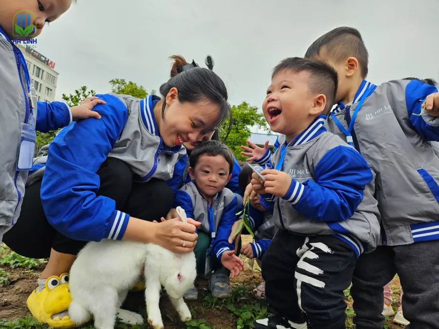 Trường Mầm Non Hà Linh (Hà Linh Preschool)