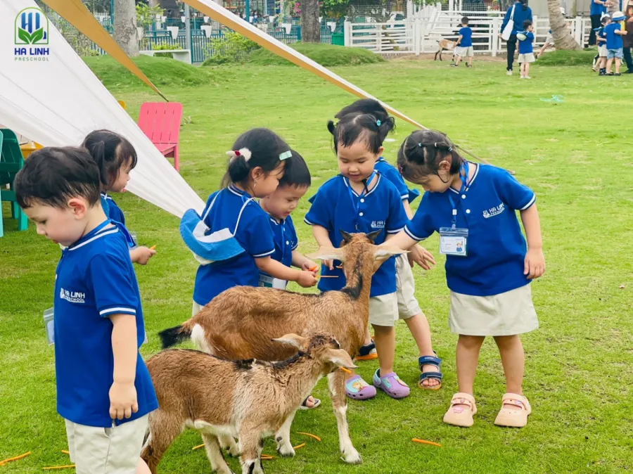 Trường Mầm Non Hà Linh (Hà Linh Preschool)