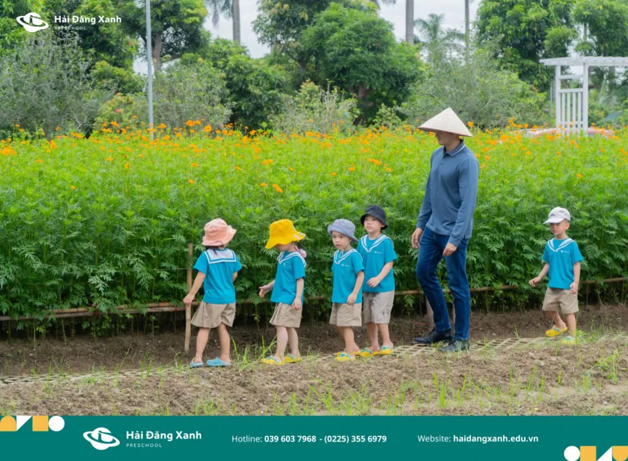 Trường Mầm Non Hải Đăng Xanh - Hải Đăng Xanh STEM Preschool