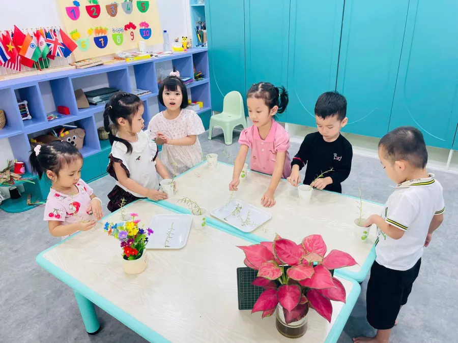 Trường Mầm Non Cát Tường Smart - Tam Đa, Bắc Ninh