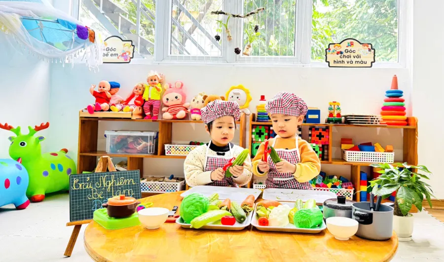 MẦM NON HẠT NHỎ (Little Seeds Preschool)