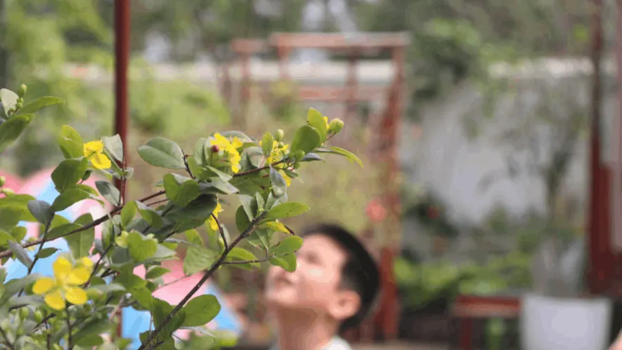 Lớp Chuyên Biệt Bình Minh - cơ sở Tiên Du