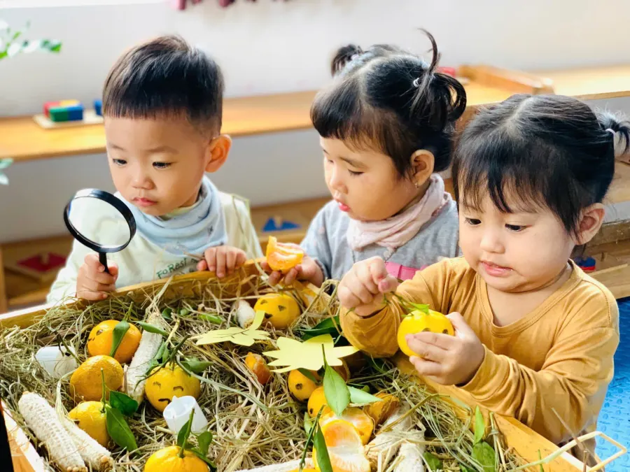 Mầm non Happy House