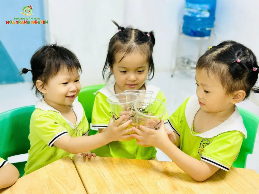 Trường Mầm Non Hoa Trạng Nguyên - Xã Phú Nghĩa (Xã Trường Yên cũ)