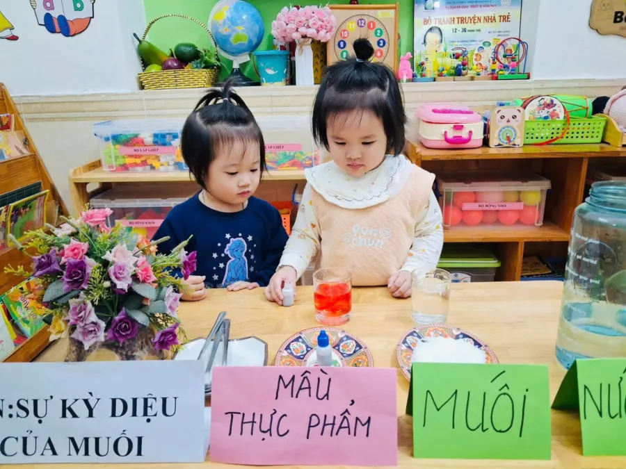 Lớp Mầm Non Độc Lập Hoa Việt