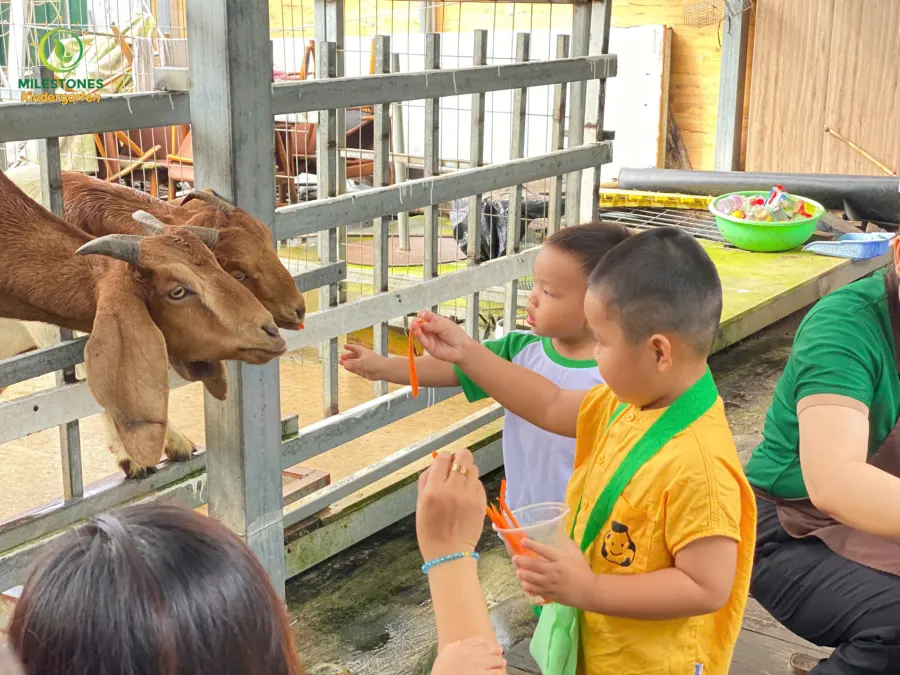 Trường Mầm non Milestones - Milestones Kindergarten