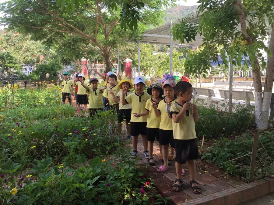 Trường mầm non Ong Vàng