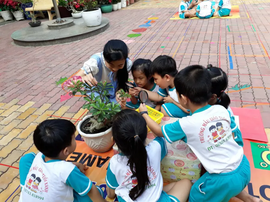 Trường Mẫu Giáo Tuổi Xanh
