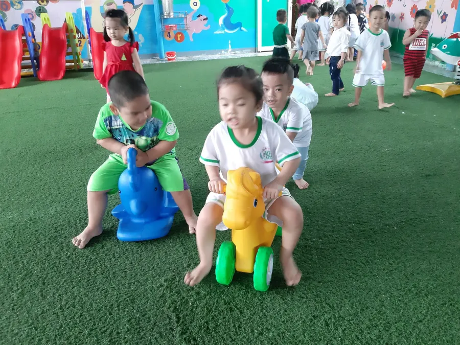 Trường Mầm Non Trúc Xanh