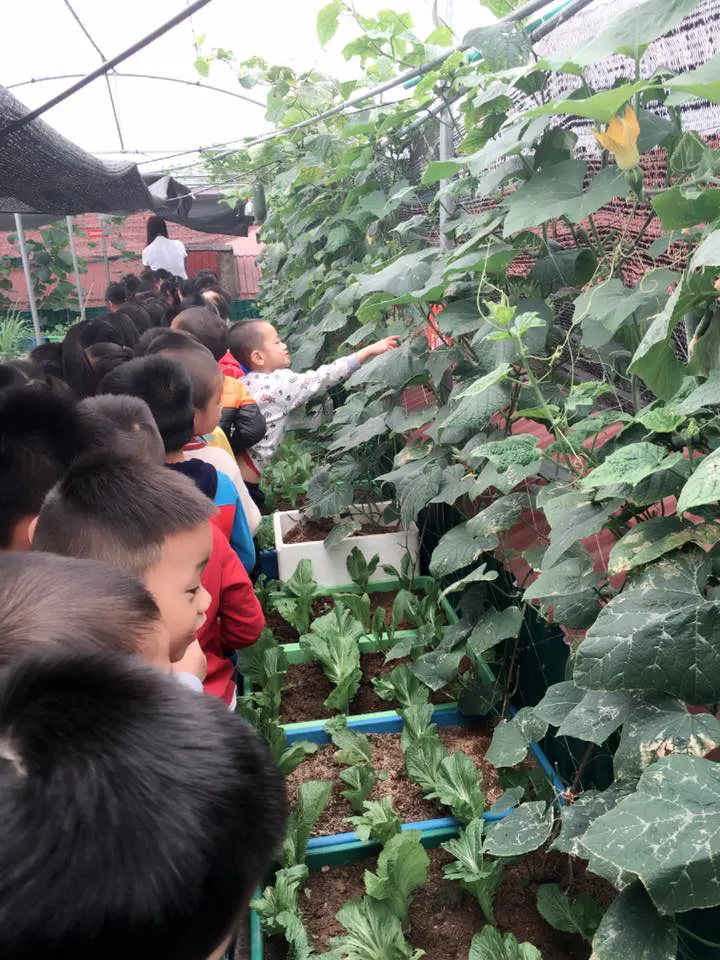 Trường mầm non Sơn Ca