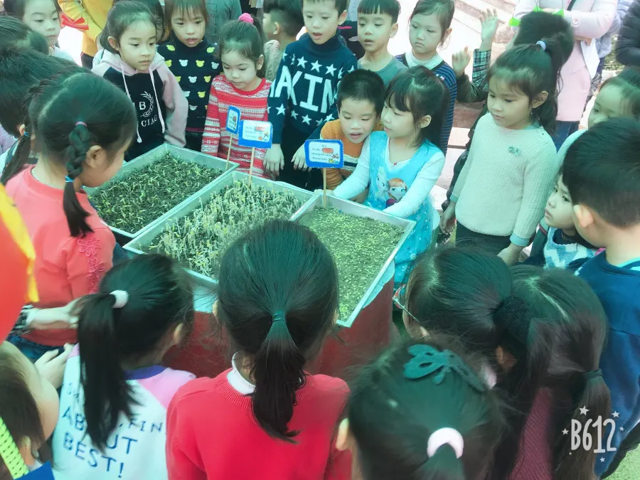 Trường mầm non Sao Mai