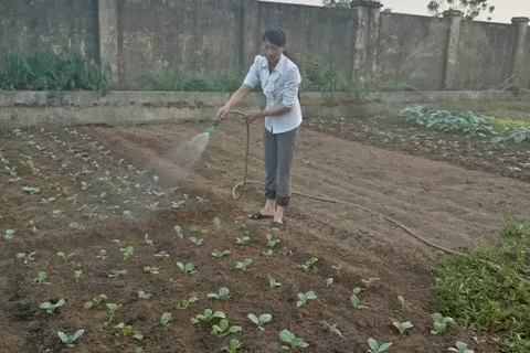 Trường mầm non Vũ Lễ