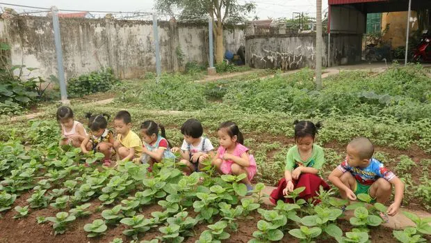 Trường mầm non Thụy Trường