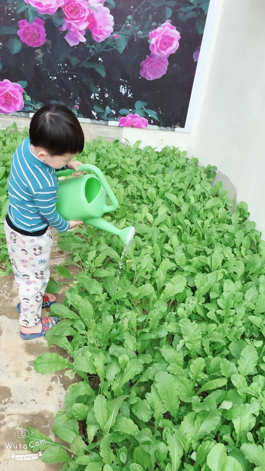 Trường mầm non BonBee CS2