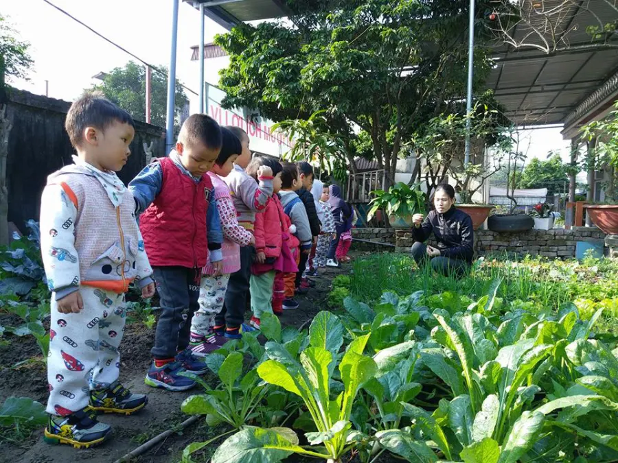 Trường mầm non Sắc Màu
