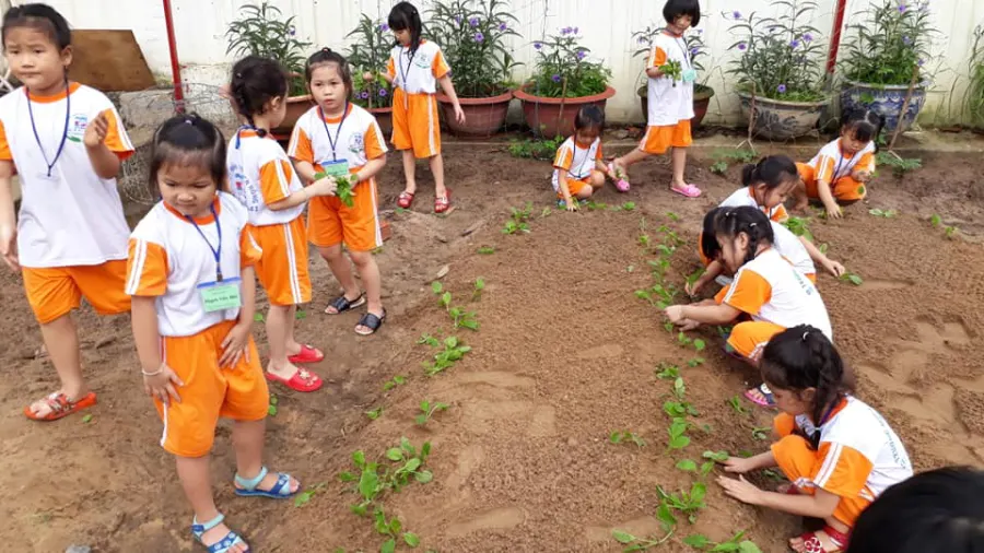 Trường mầm non Sen Hồng
